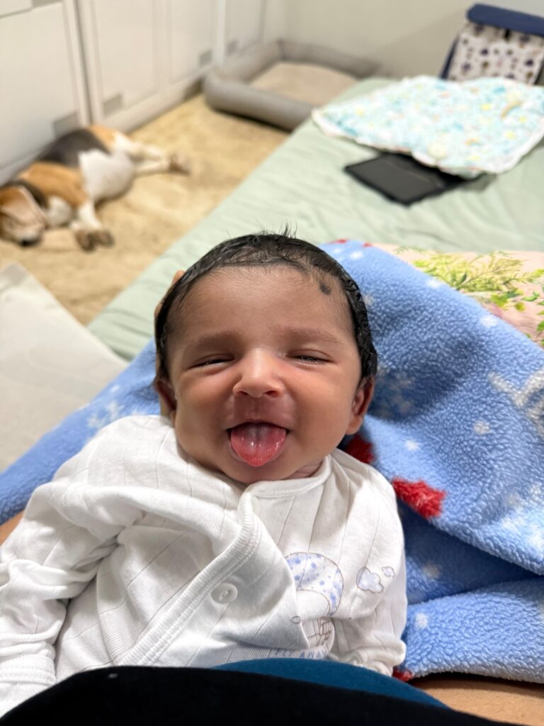 whatsapp image 2025 12 25 at 19.55.03 whatsapp image 2025 12 25 at 19.55.03